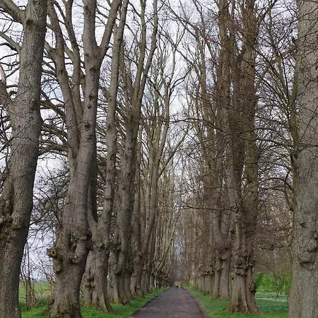 Reethaus Meridian Ferienhaus *